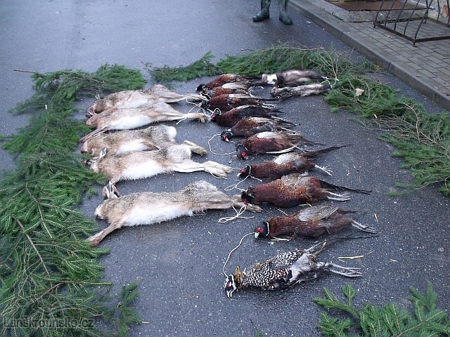 02_Dnesni ulovky.jpg